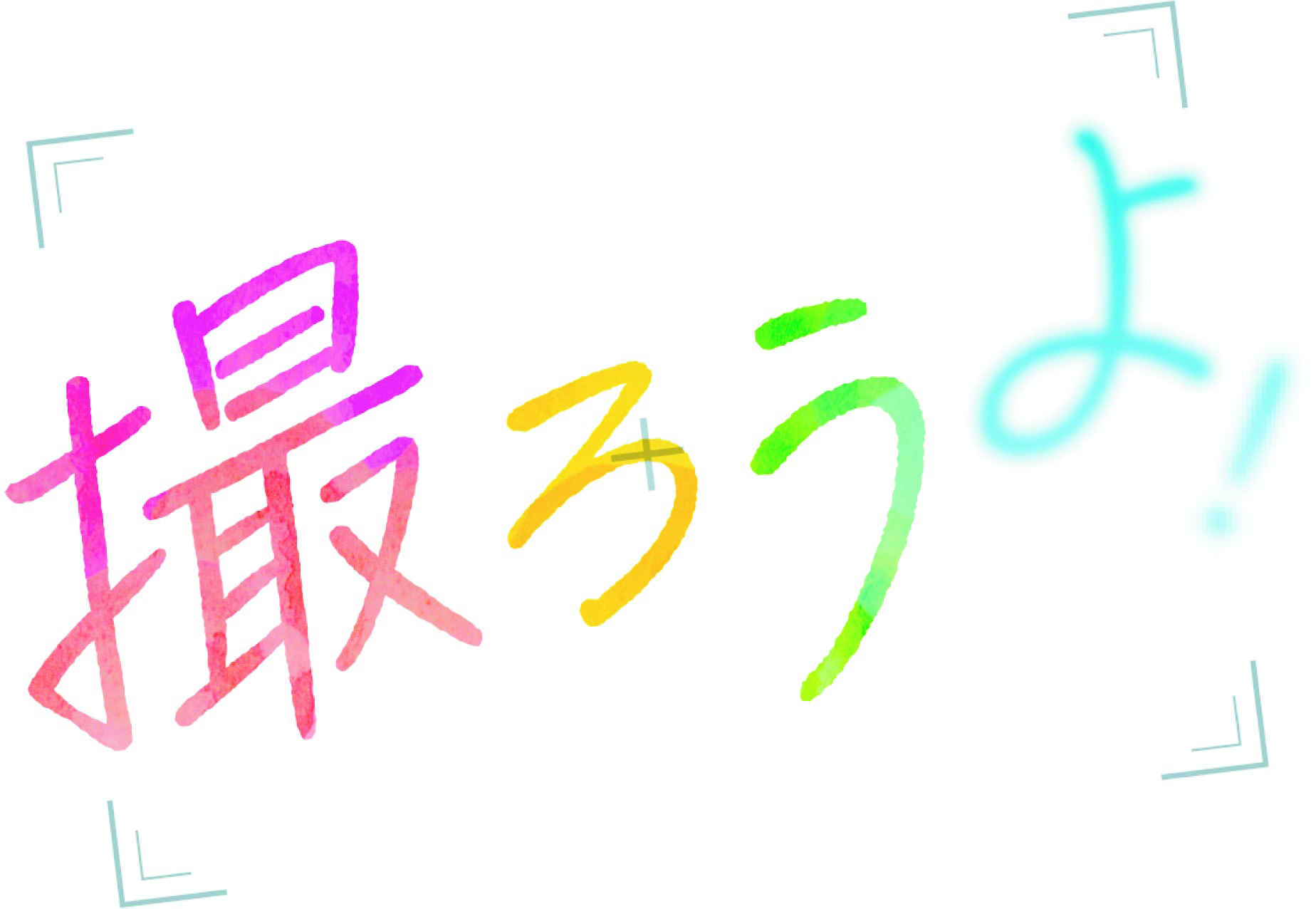 新着プレゼント画像